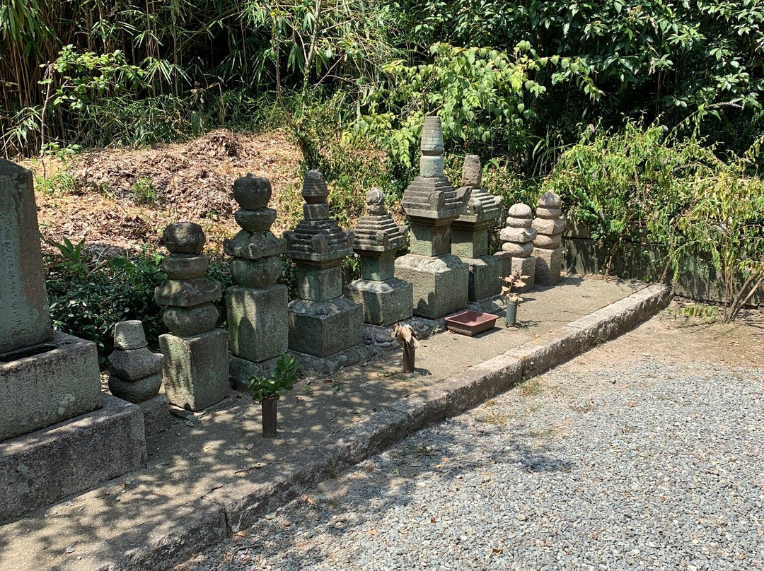 Nanshu-ji Temple-坂井市必去景点