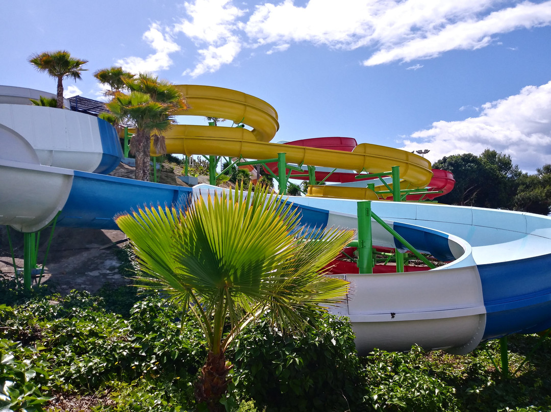 Parque Acuático Aquavera景点图片