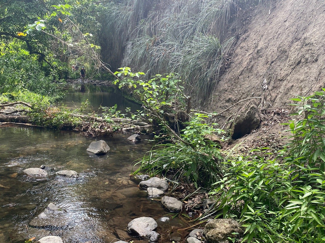 Cascade De La Riviere Carbet景点图片