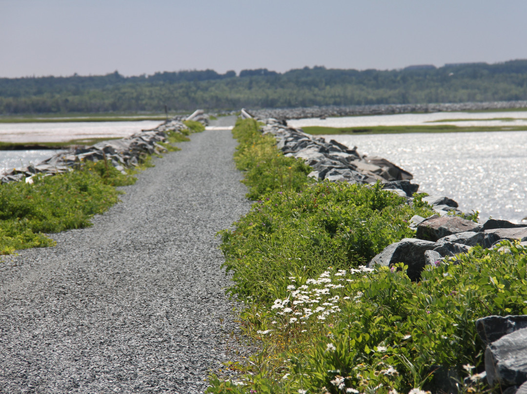 Salt Marsh Trail-Cole Harbour必去景点