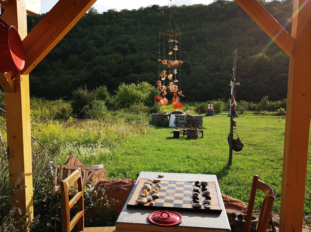 Szentkiralyszabadja旅游攻略图片