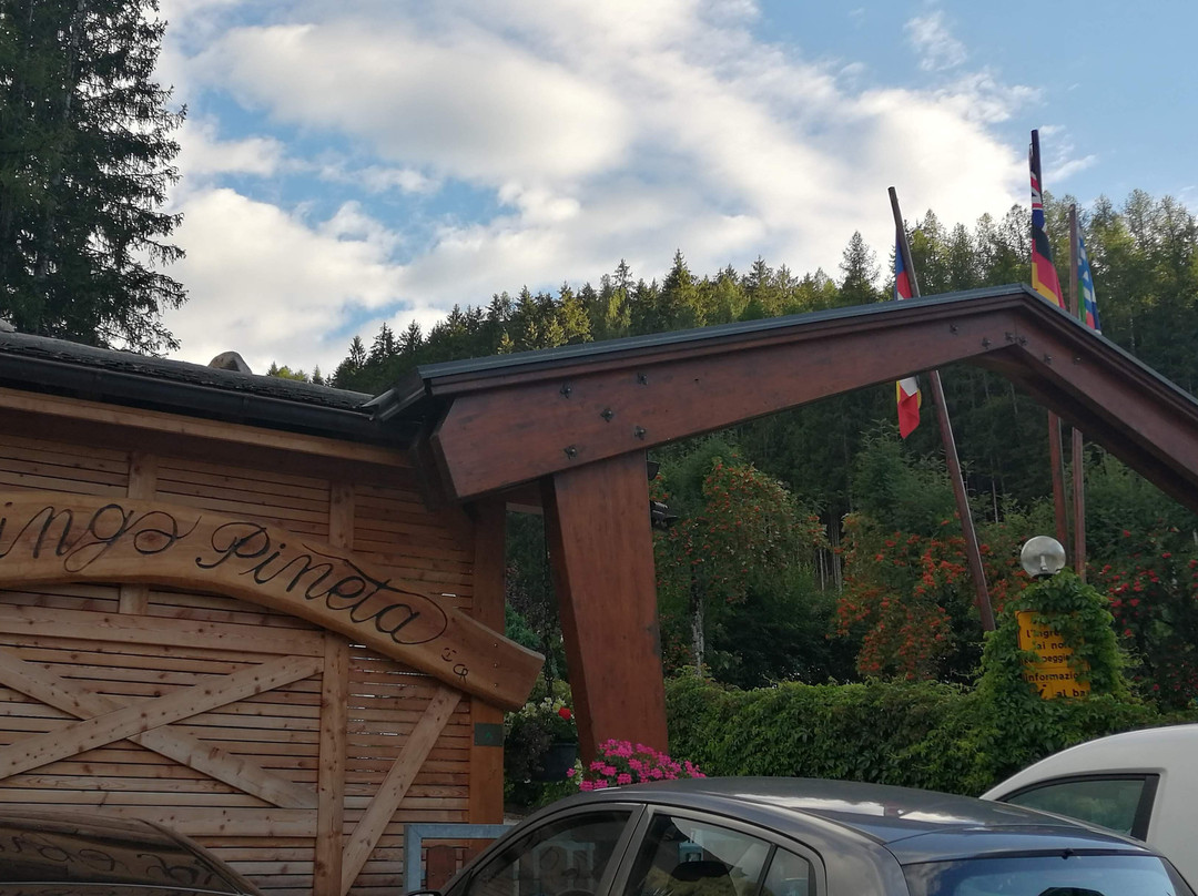 Active Hotel Pineta & Camping主图