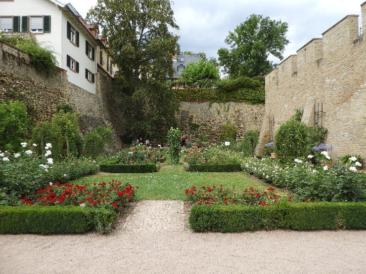 Electoral Castle-Eltville am Rhein必去景点
