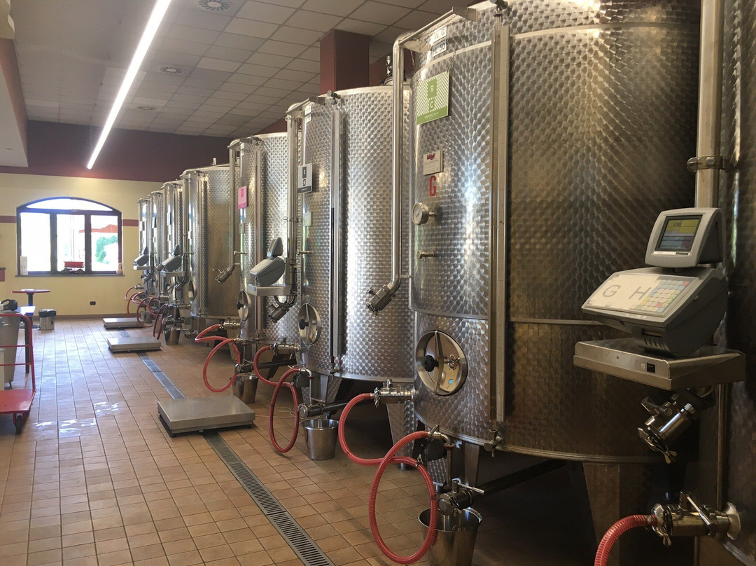 Cantina Sociale Barbera dei Sei Castelli-Castelnuovo Calcea必去景点