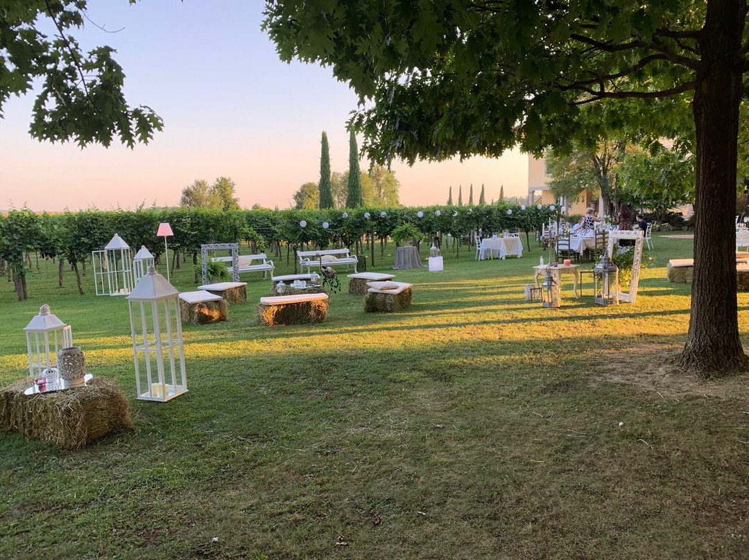 Agriturismo Tenuta Luisa景点图片