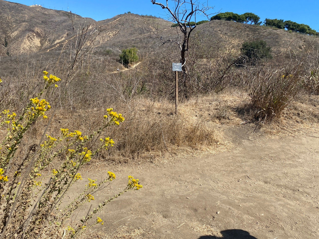Arroyo Verde Park景点图片