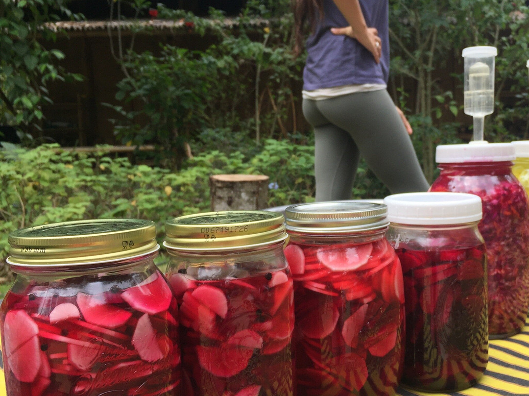 The Kul Kul Farm-阿比安塞马尔必去景点