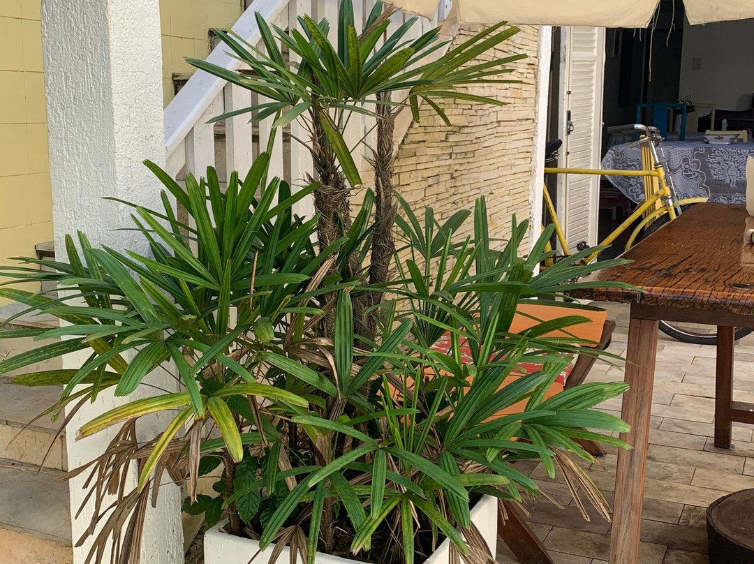 Pousada Vó Irene主图