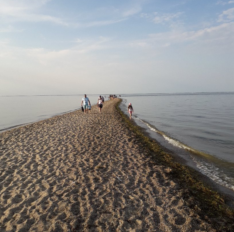 Beach in Rewa景点图片