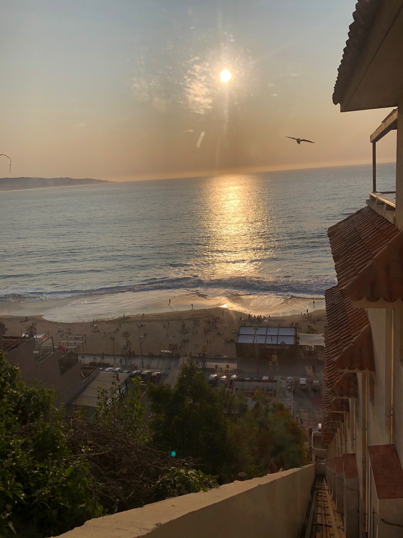 Renaca Beach-官方