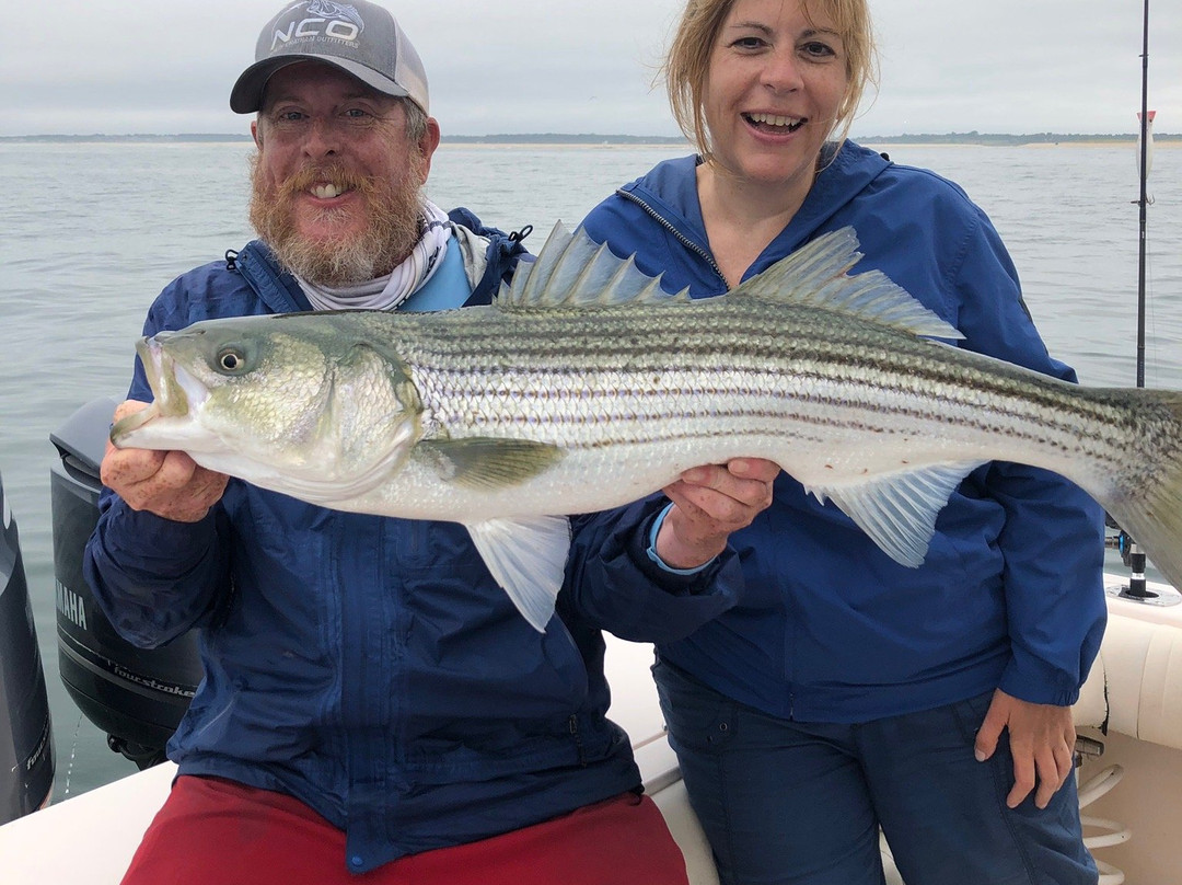 Zen Charters-查塔姆必去景点