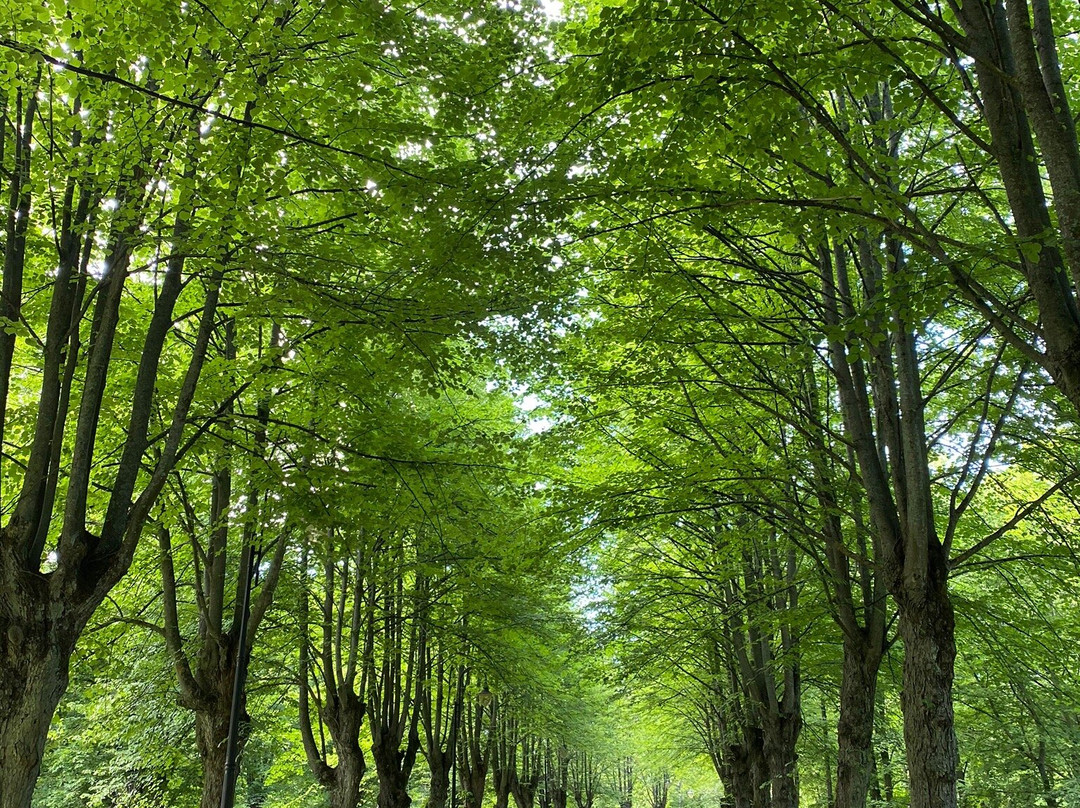Jurmalas Park-Liepaja必去景点
