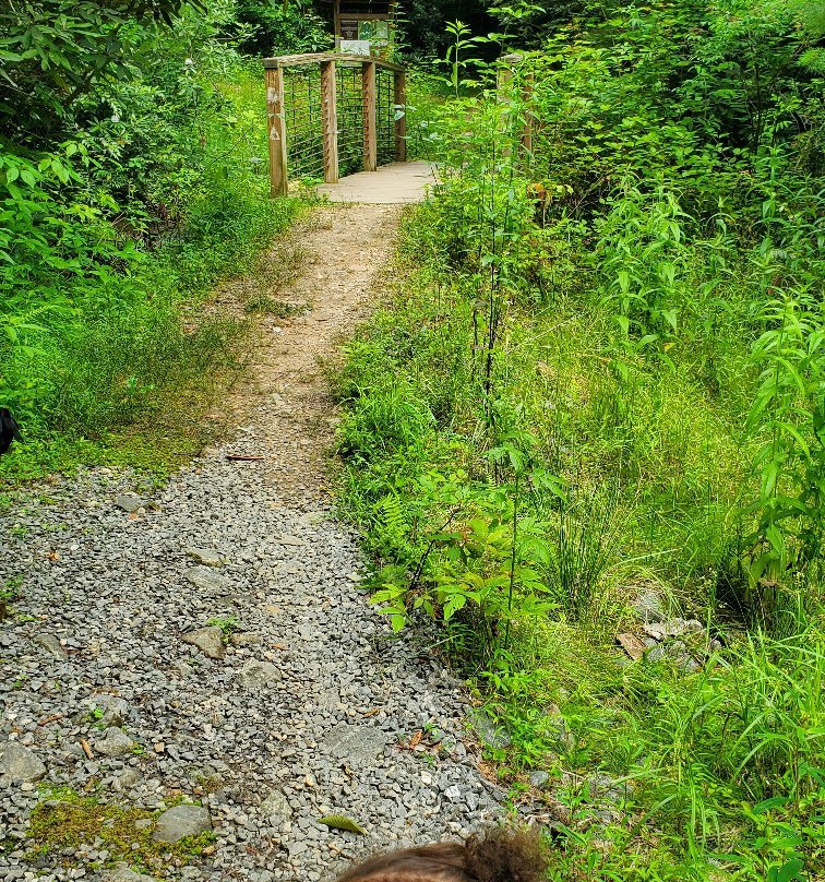 Piney Knob Trail System景点图片