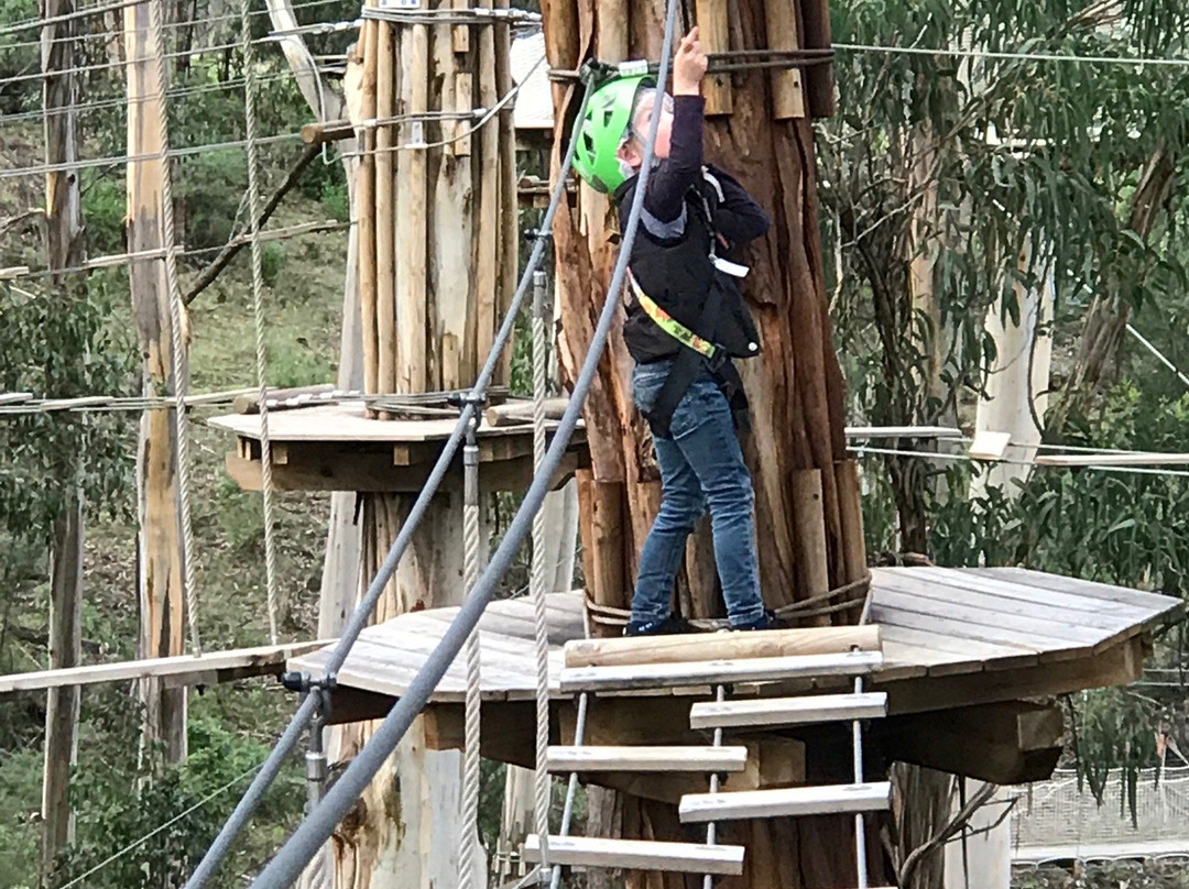 Live Wire Park-洛恩必去景点