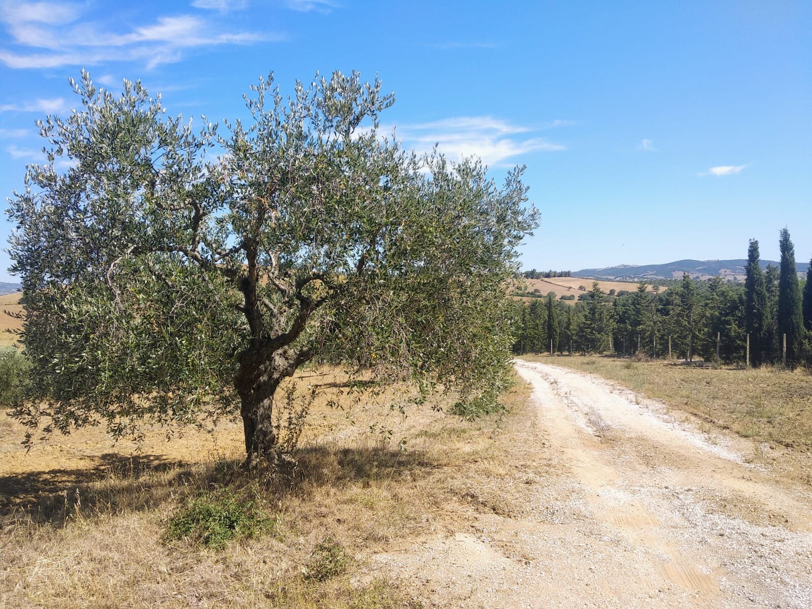 Agriturismo Il Cantiniere-酒店景观
