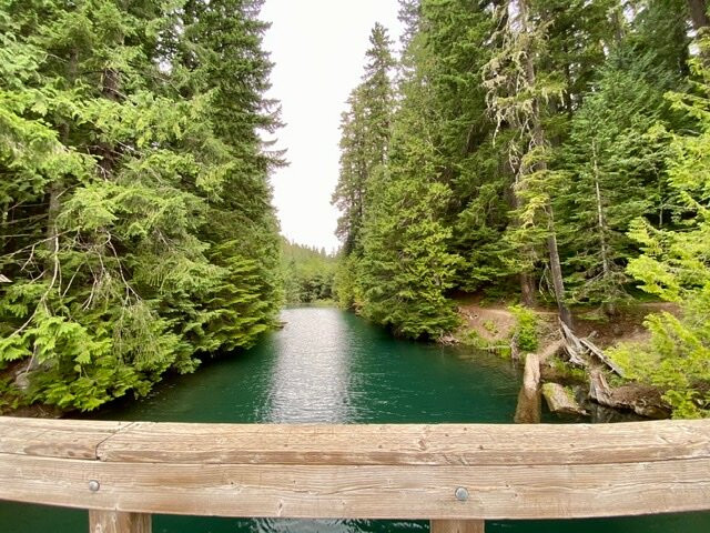 Packwood Lake Trail景点图片