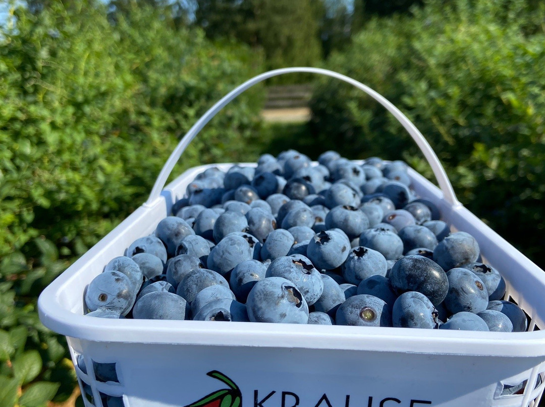 Krause Berry Farms & Estate Winery-Langley必去景点