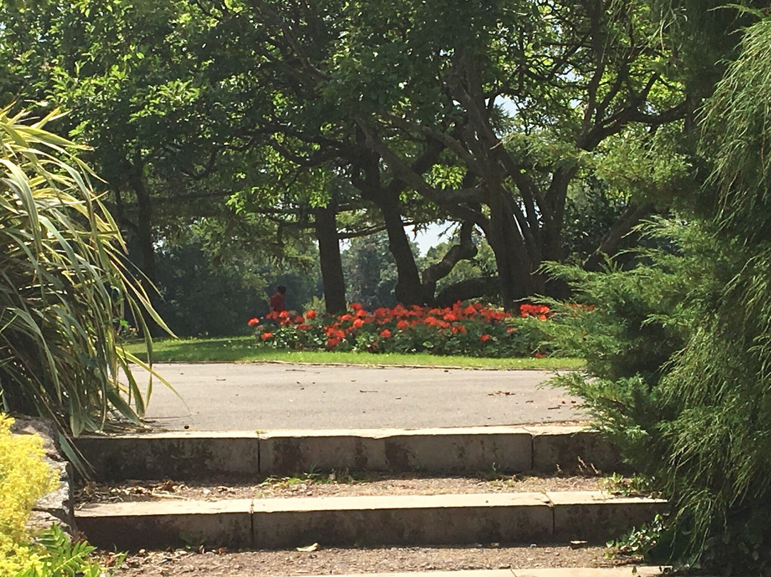 Wellington Park-惠灵顿必去景点
