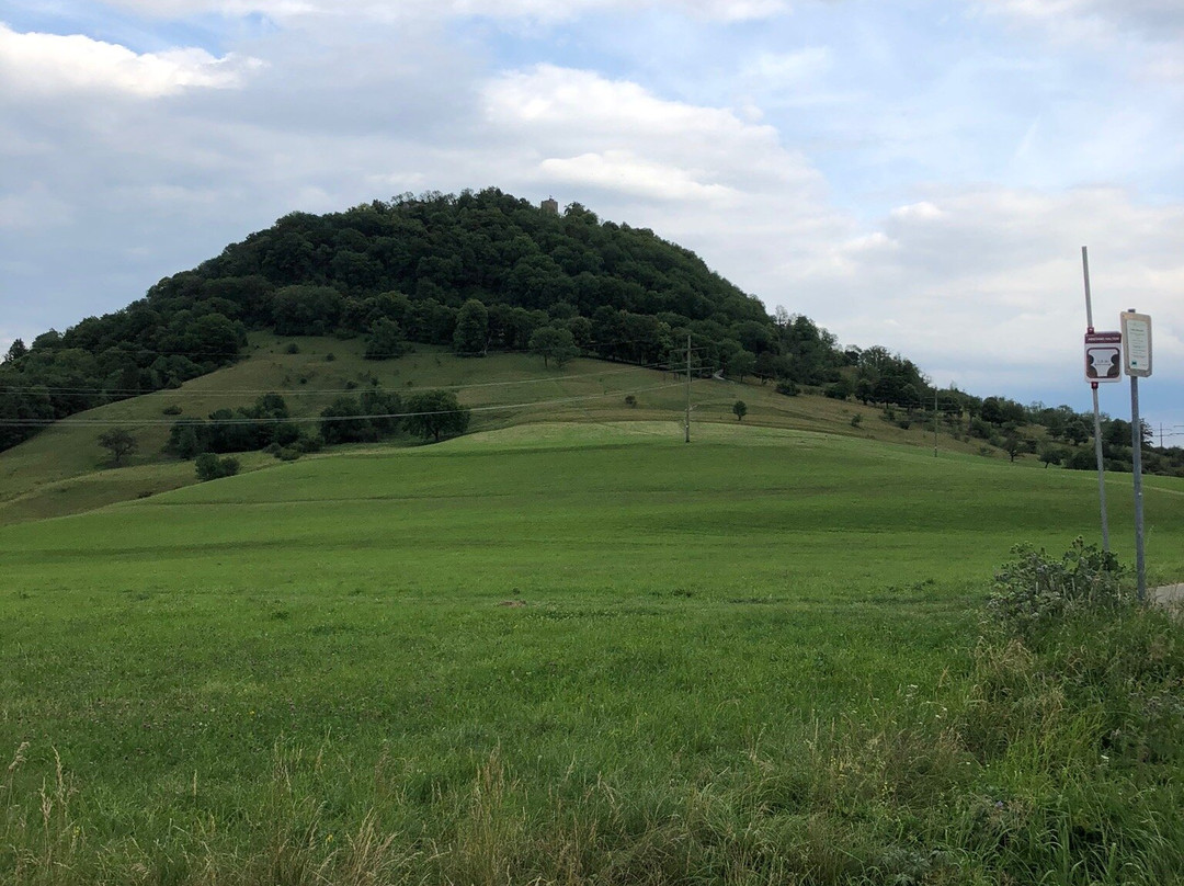 Reutlingen Achalm景点图片