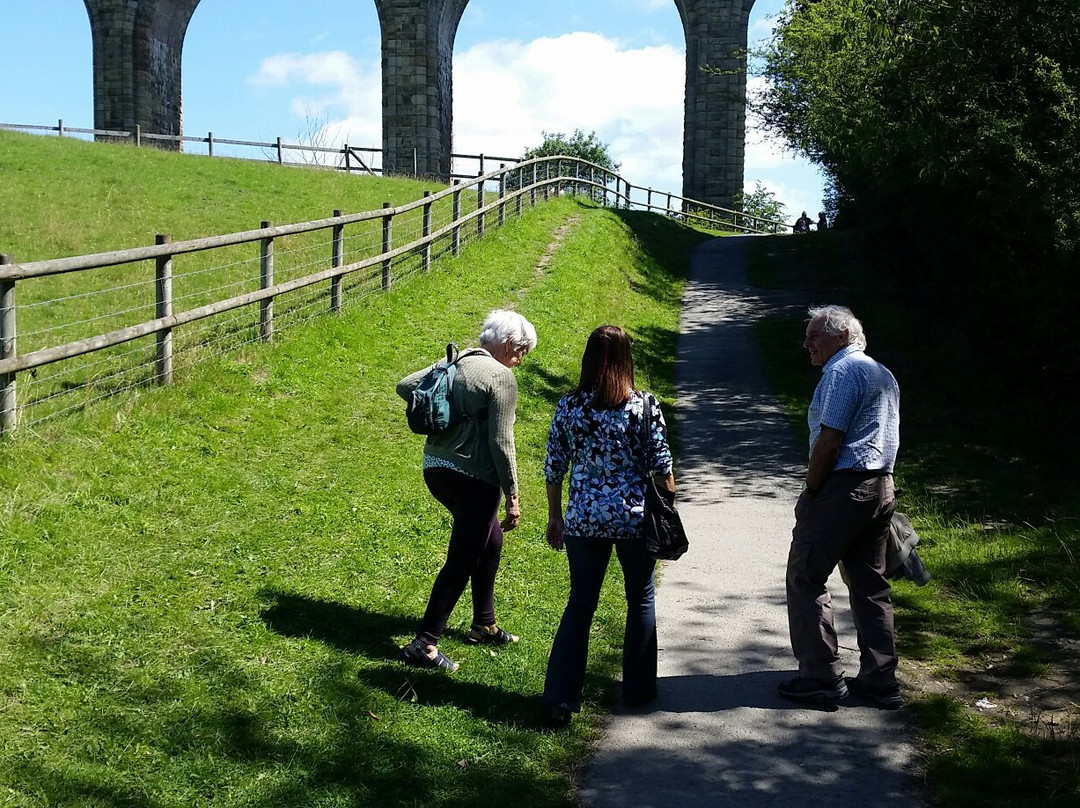 Ty Mawr Country Park景点图片