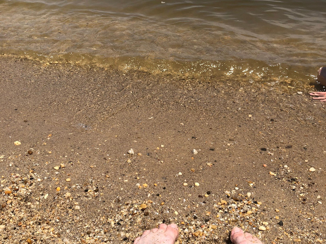 Pohick Bay Regional Park景点图片