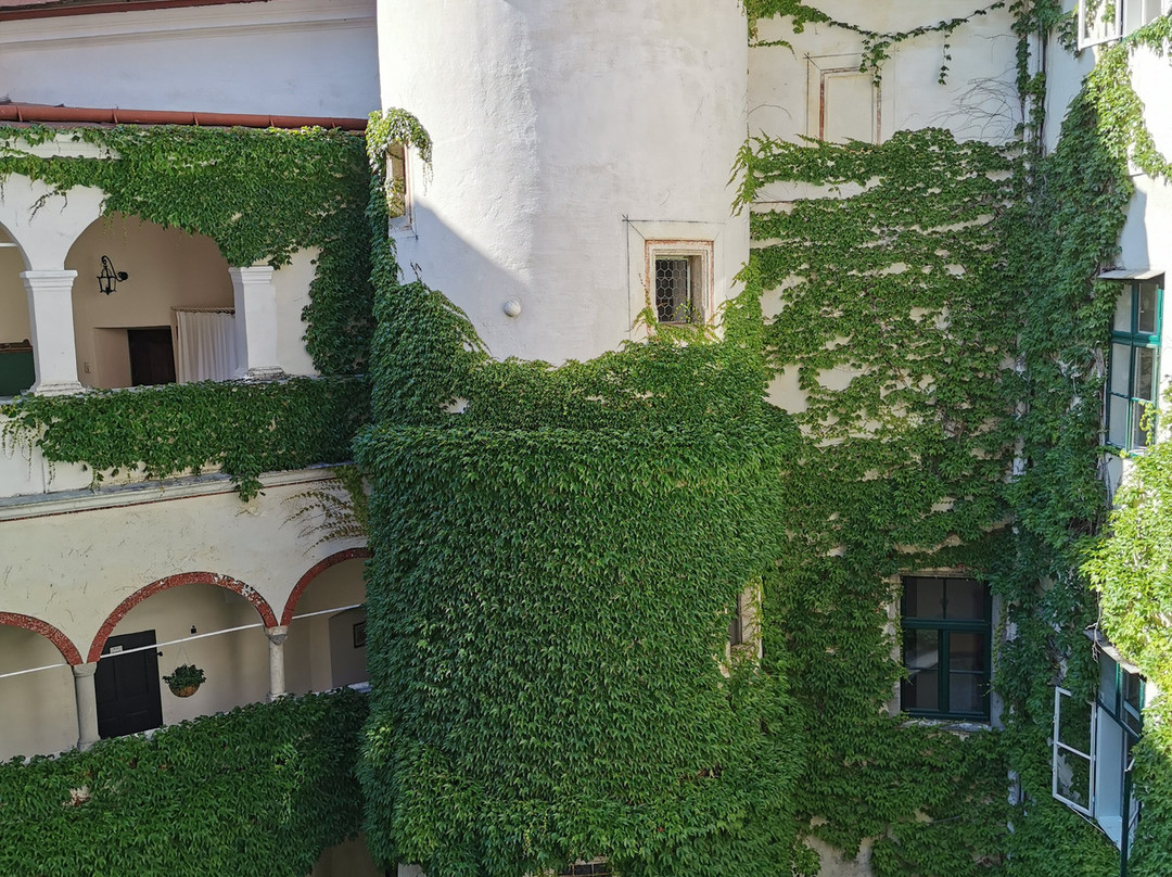 Schloss Ernegg主图