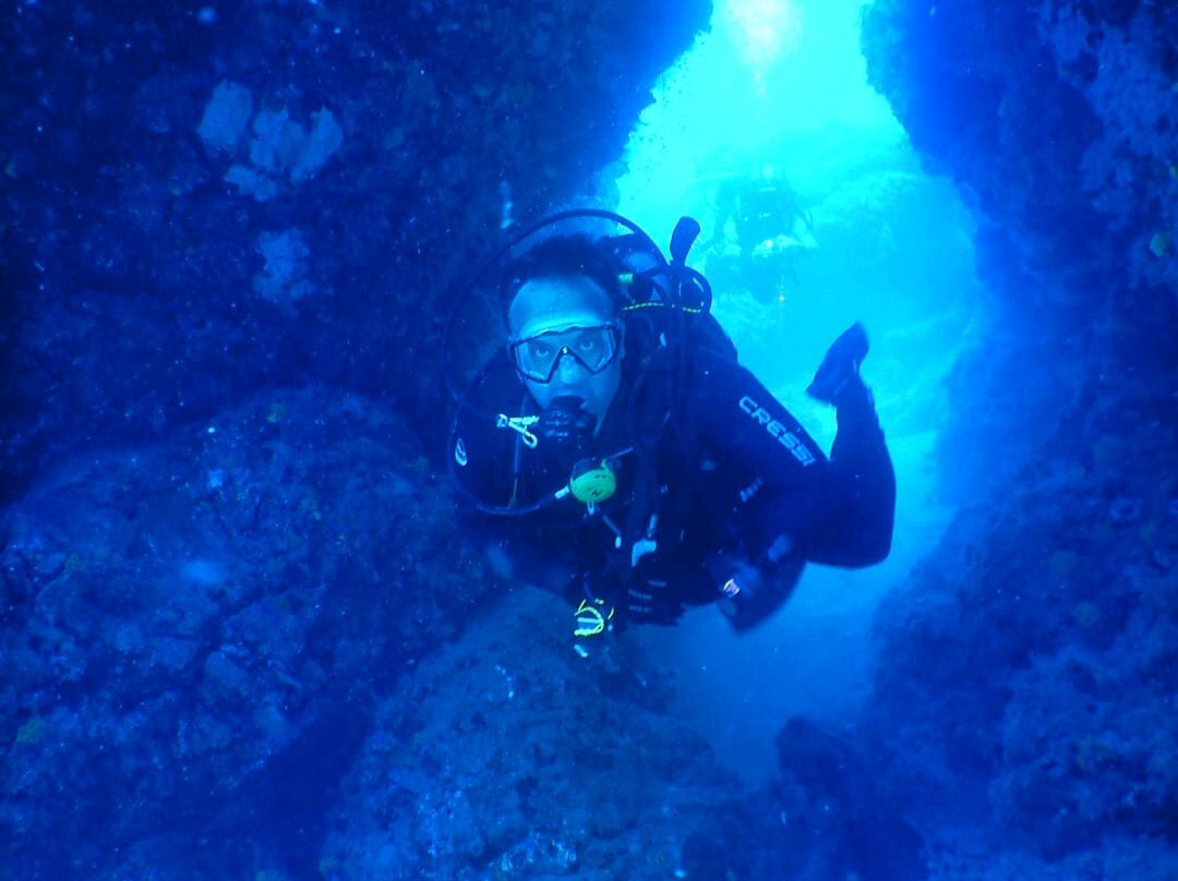 Alisios Sub Centro de Buceo-卡门港必去景点