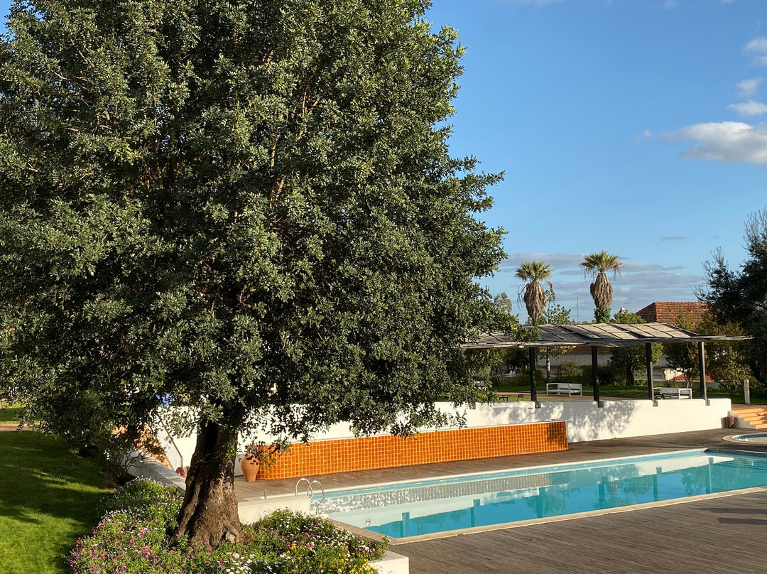 Alentejo Star Hotel主图