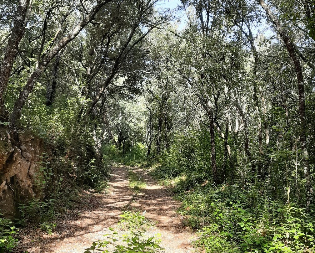 Château d'Astros-Vidauban必去景点