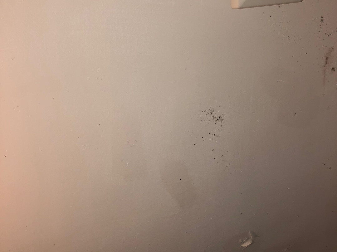 阿索托丽亚酒店主图
