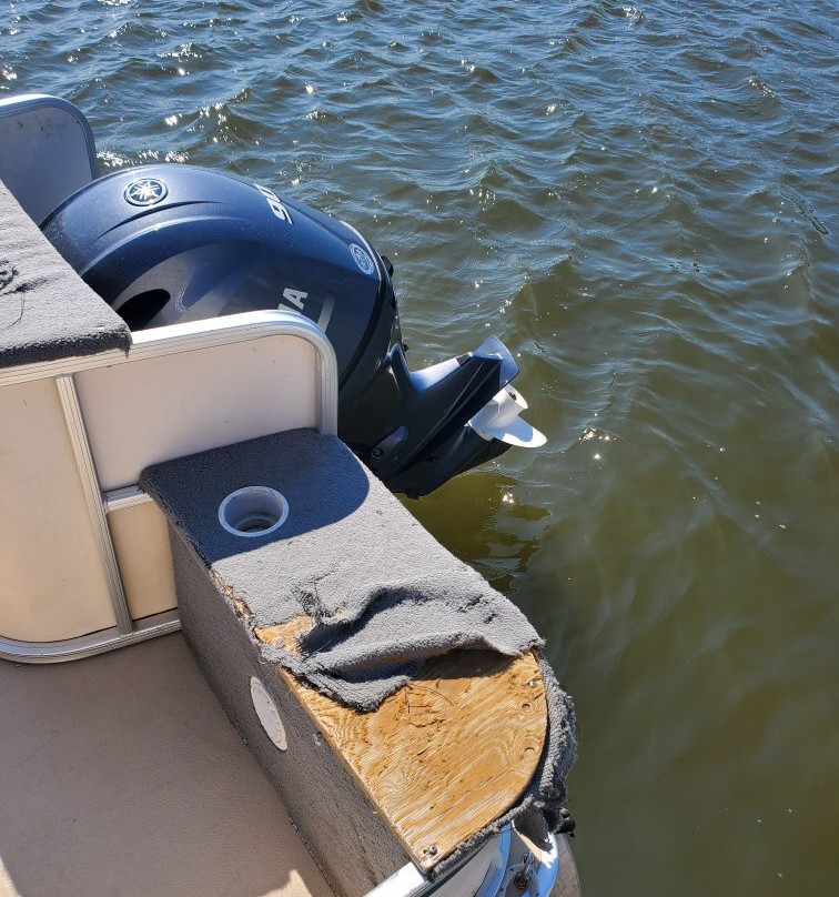 Shark's Cove Marina-Fenwick Island必去景点