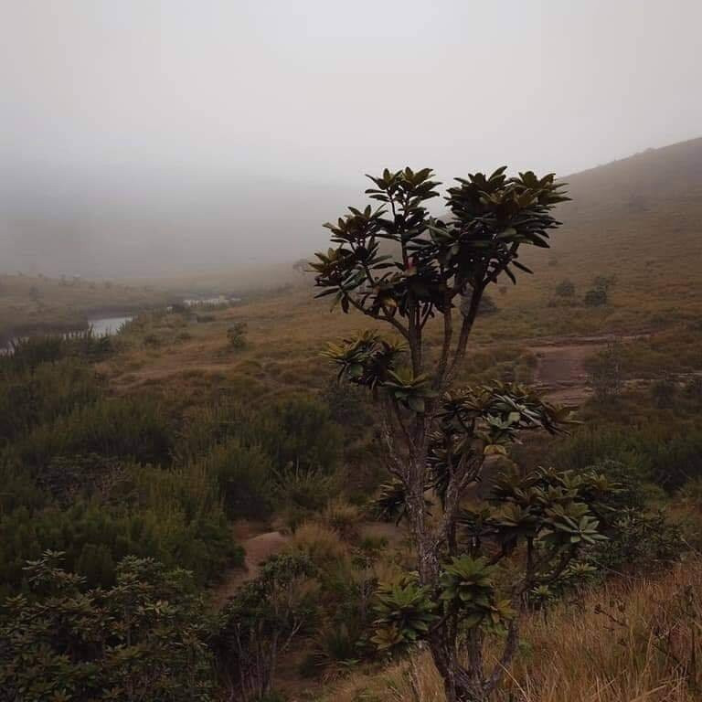 世界尽头-奴娃拉伊利雅必去景点