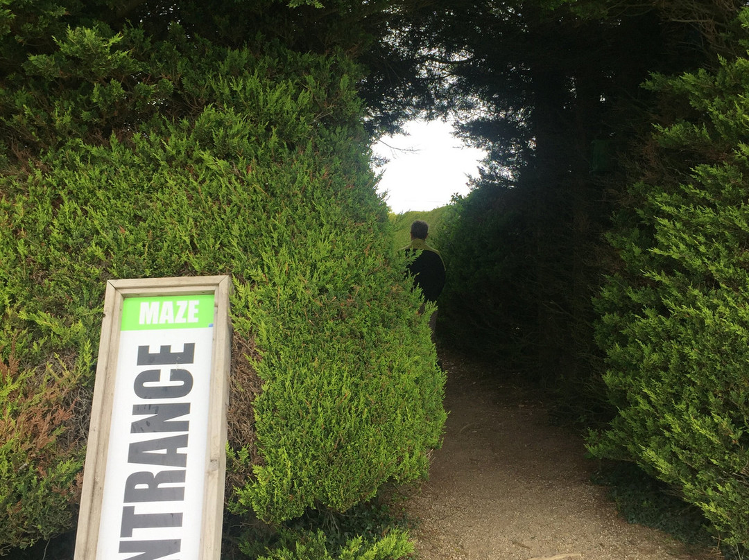 The Kildare Maze-Prosperous必去景点