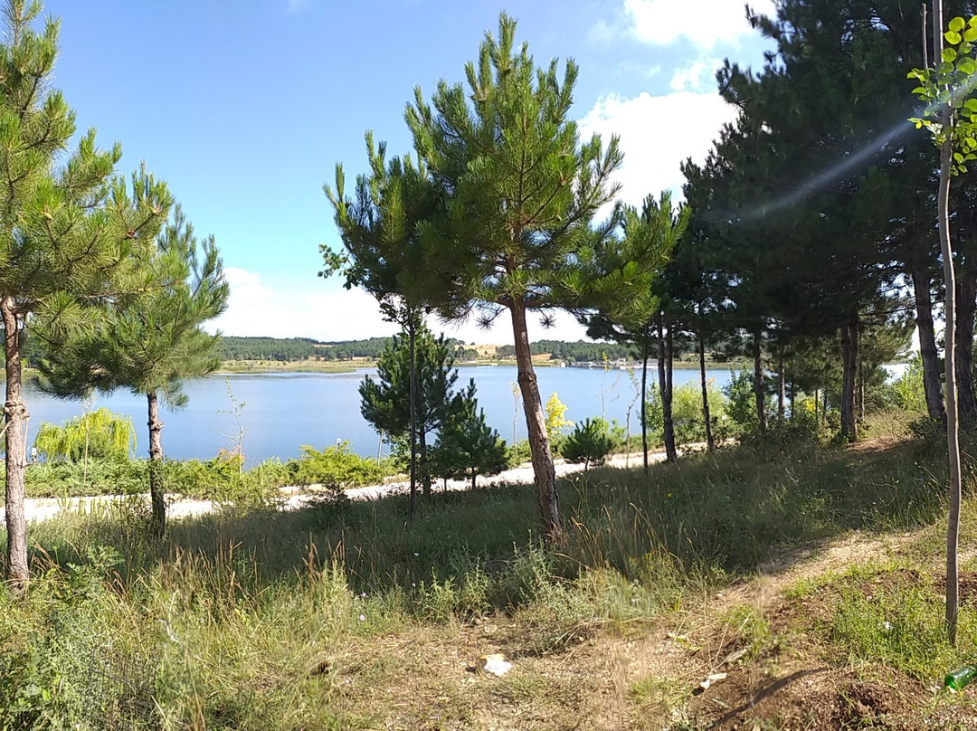 Pelitozu Goleti-比莱吉克必去景点