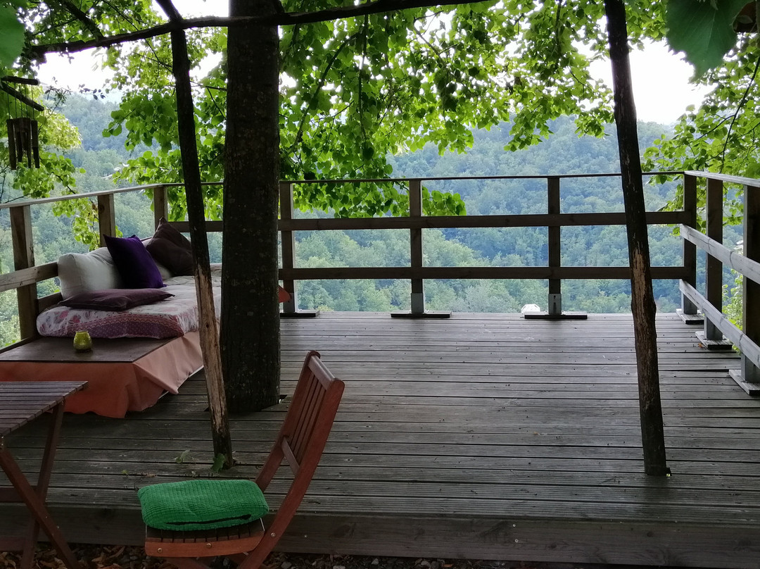 B&B Al Giardino dei Mandorli主图