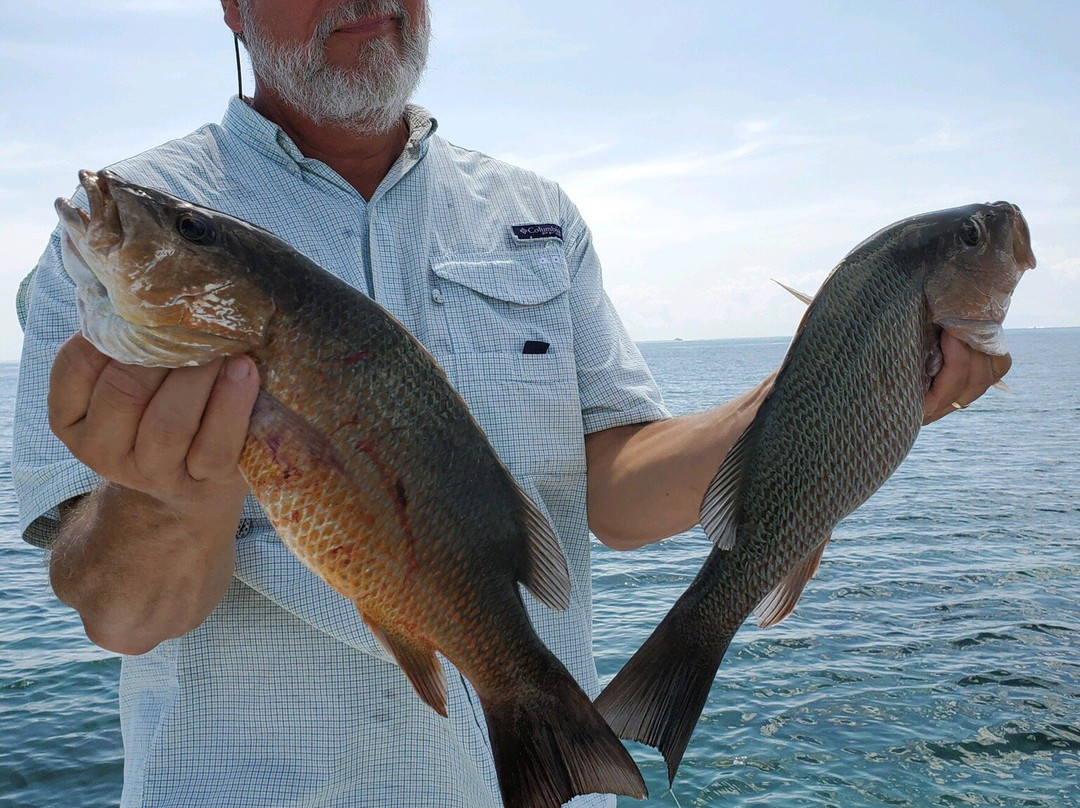Chaos Fishing Adventures-Jensen Beach必去景点