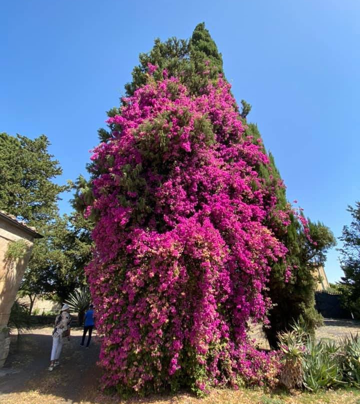 Giardino del Biviere景点图片