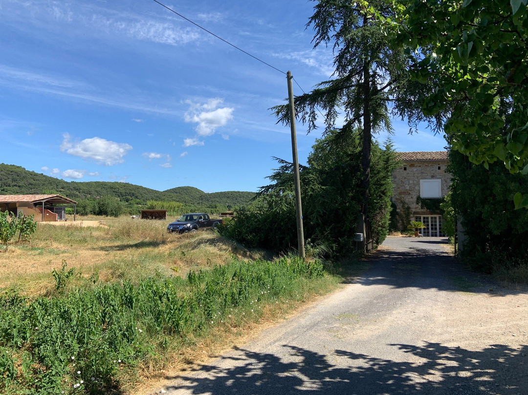 Le haras de Durfort景点图片