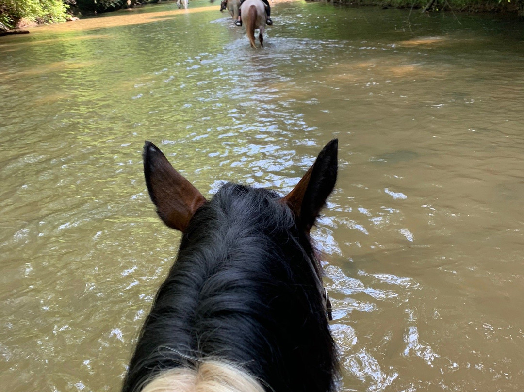 The Esmeralda Inn, Restaurant, & Spa主图