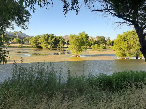 Lindo Lake County Park-Lakeside必去景点