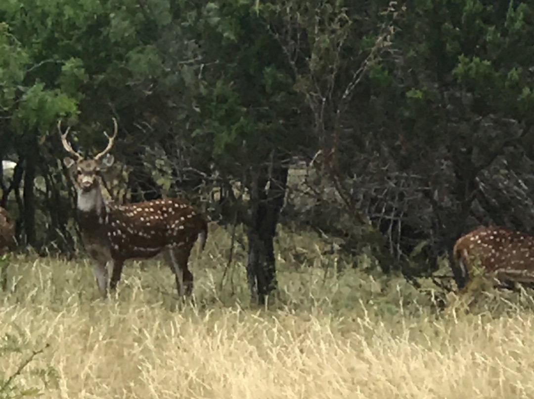 Frio Valley Ranch Golf Club-Concan必去景点