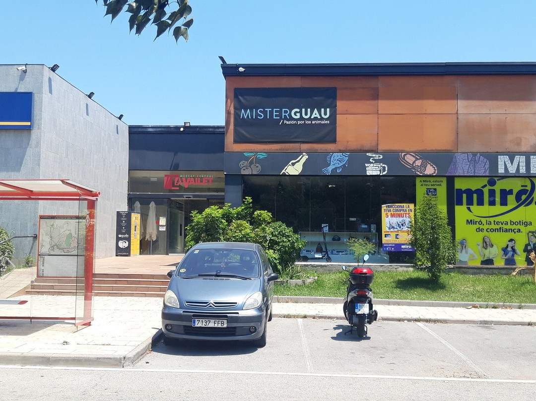 Centro Comercial La Vailet