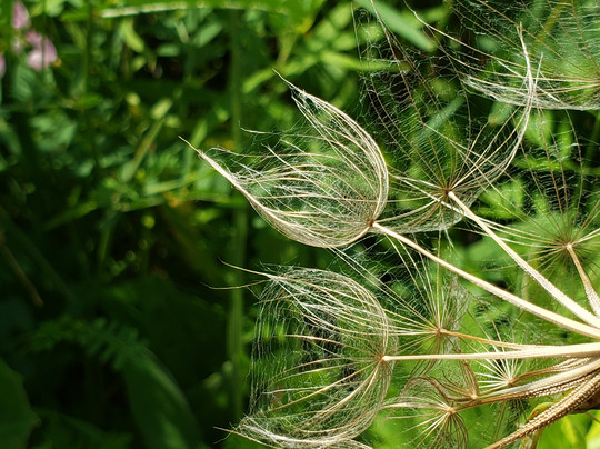 Snapshot 414-密尔沃基必去景点