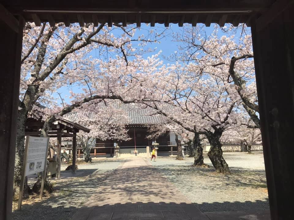 Kyoshinji Temple-加古川市必去景点