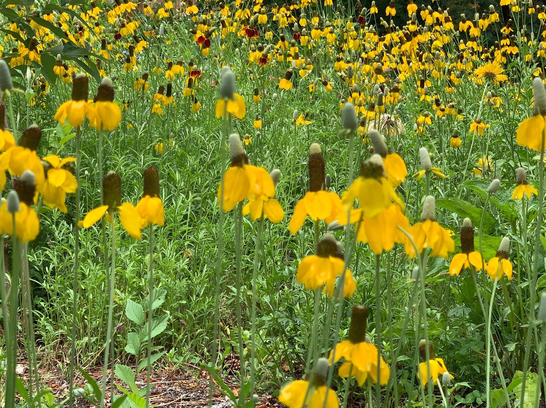 自由公园-盐湖城必去景点