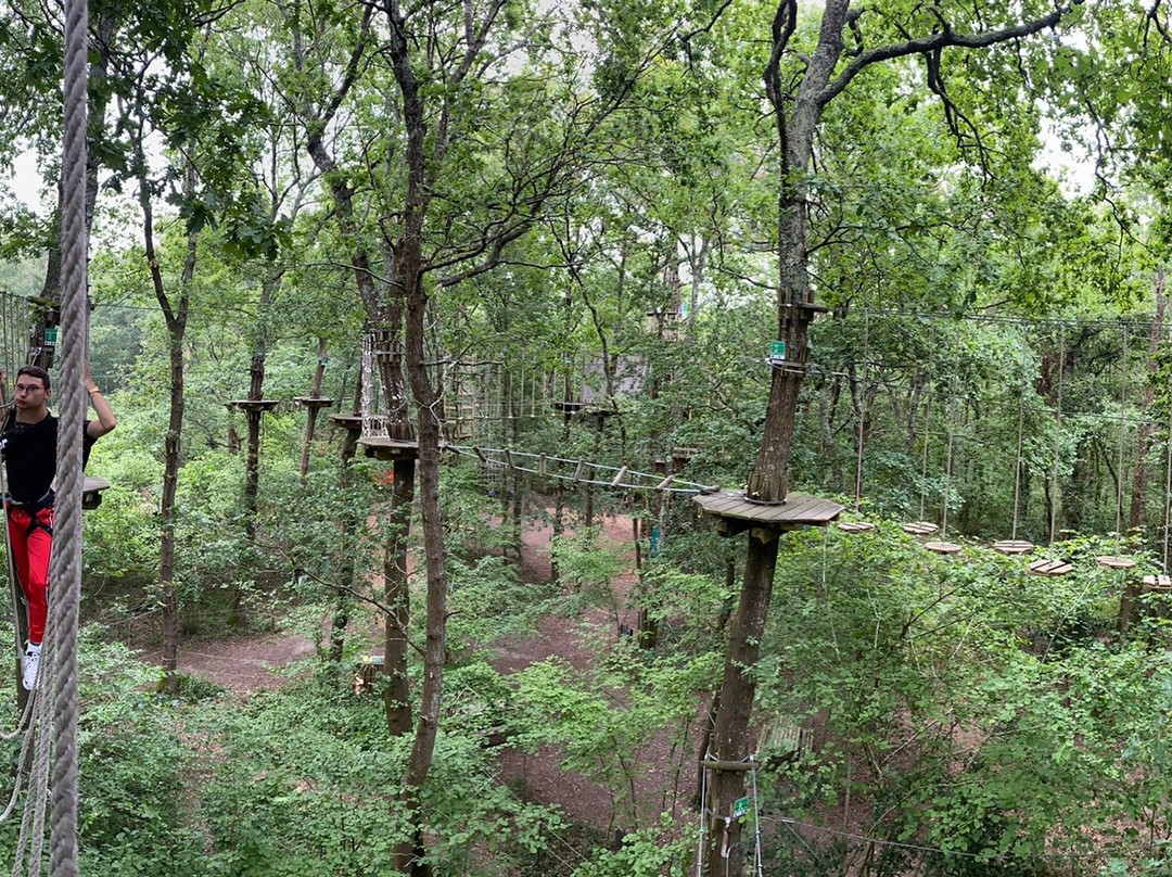 Coolongalook Parc Aventure景点图片