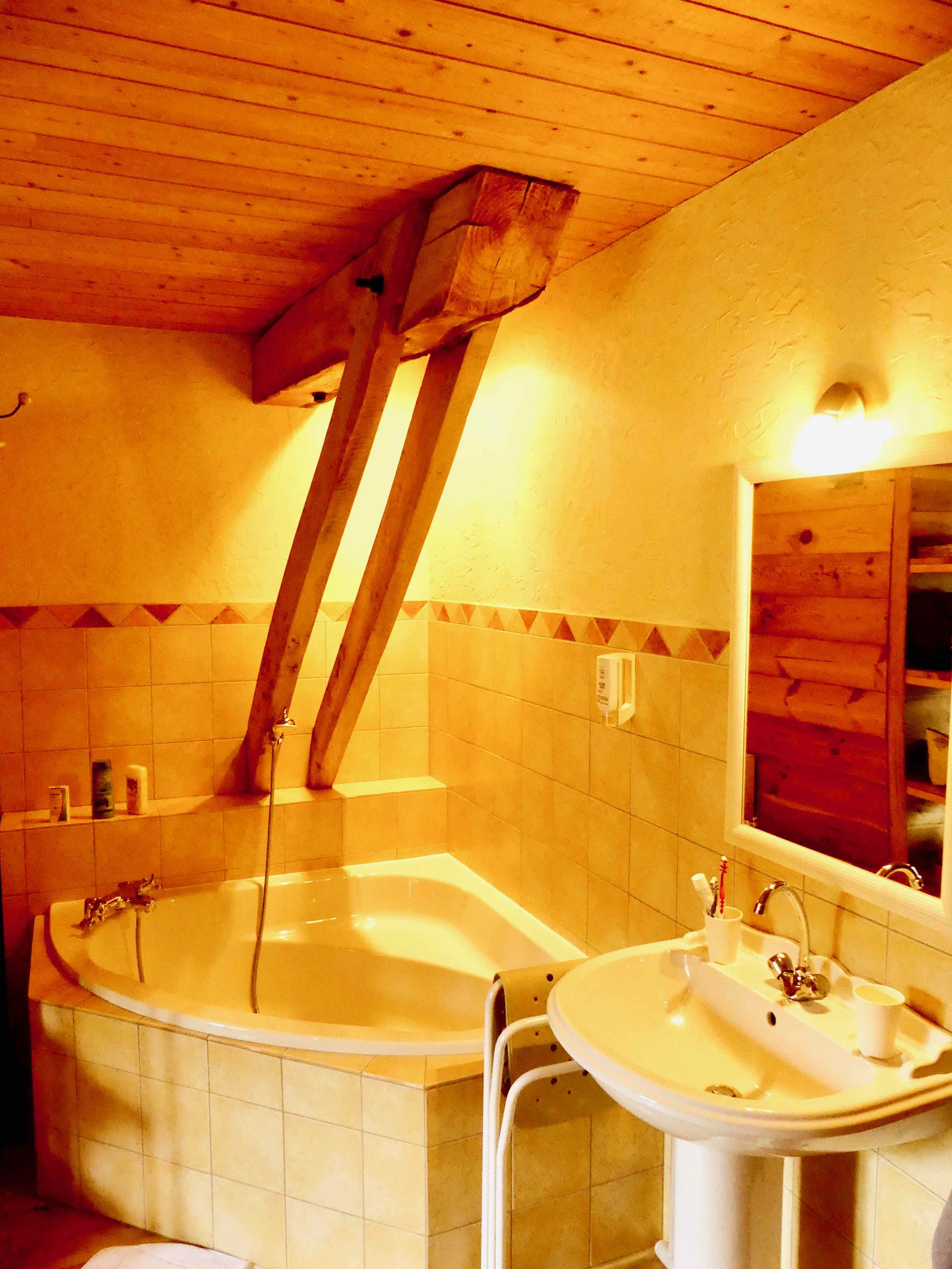 Le Moulin du Bateau-浴室