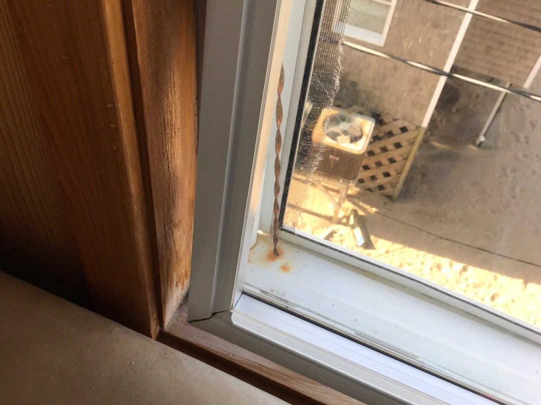 Outer Banks Motel主图