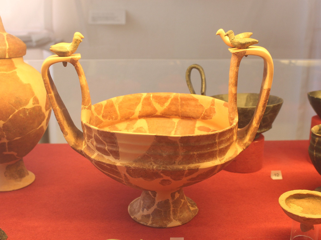 Museo Archeologico e d'Arte della Maremma景点图片