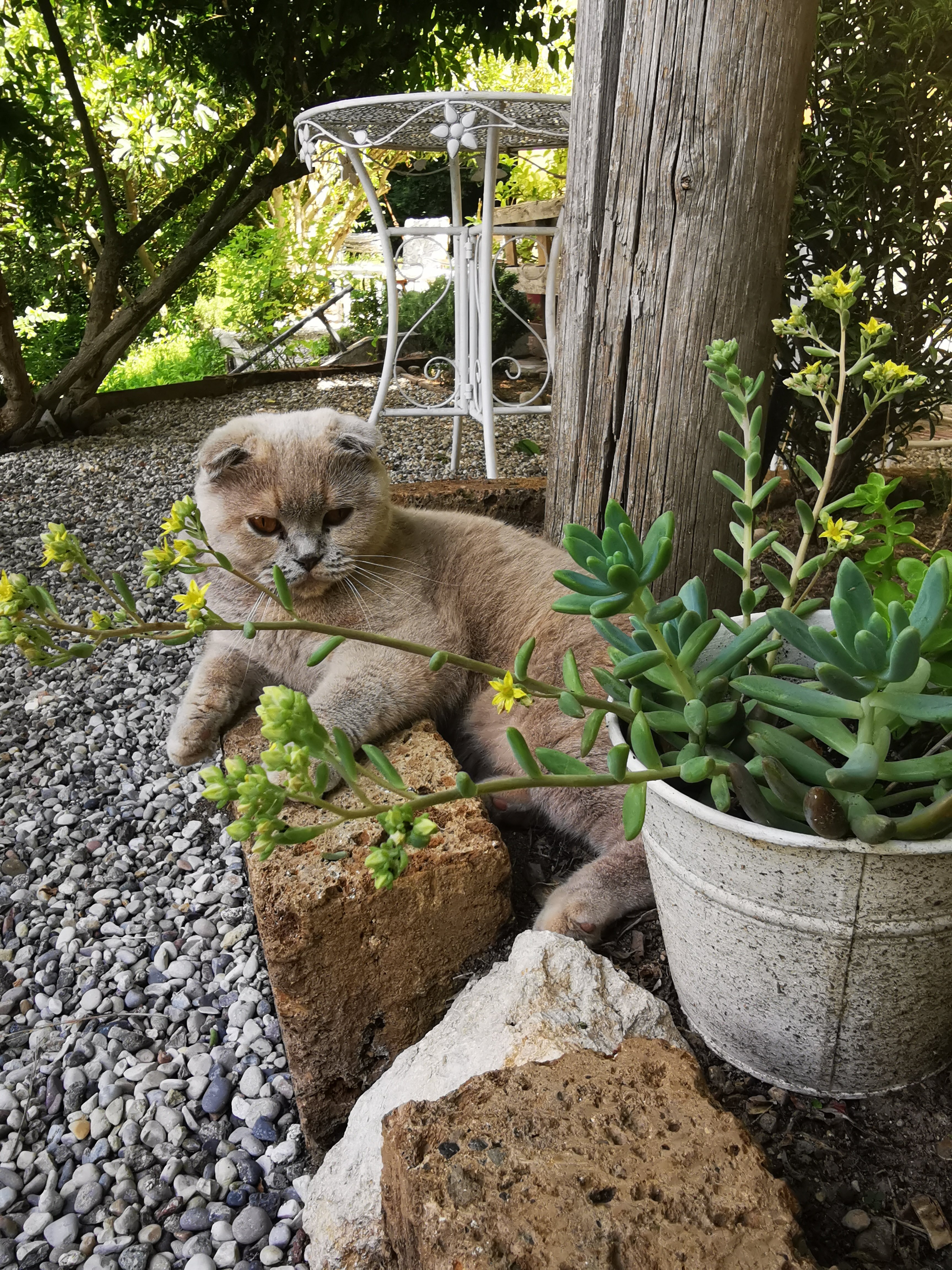 B&B Valledium-官方